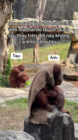 #vinpearlsafariphuquoc #dulich 