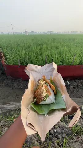 Manut ipul😁#fyp #bosmuda #petanimuda #petaniindonesia🇮🇩🇮🇩🇮🇩🌿 #petanimilenial 