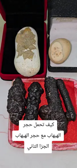 الملكه#ترند#الخليج_العربي_اردن_عمان_مصر_تونس_المغر #الخليج_الكويت_السعودية_قطر_البحرين #الهبهاب_الدموي_العادي_الجامد #الشعب_الصيني_ماله_حل😂😂 