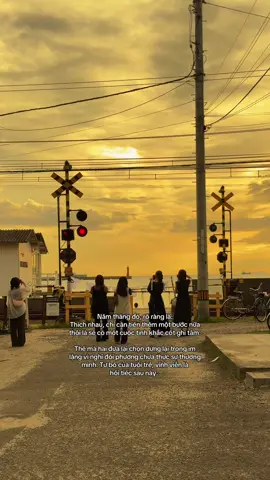 cứ vậy mà ta bỏ lỡ nhau...