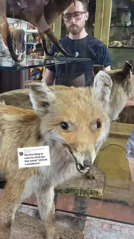 Replying to @vangoghaway99 #taxiderpy #rainydayrevival #odditiesmuseum #Atlanta #cute 