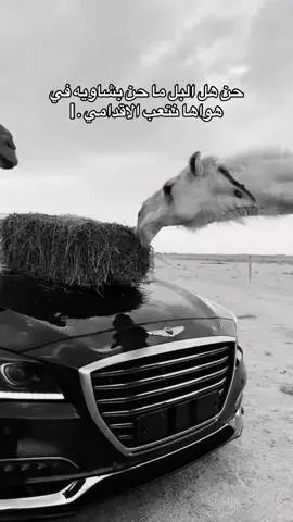 #بني_حُمد #الجنوب  #povstories #ksa  #309 