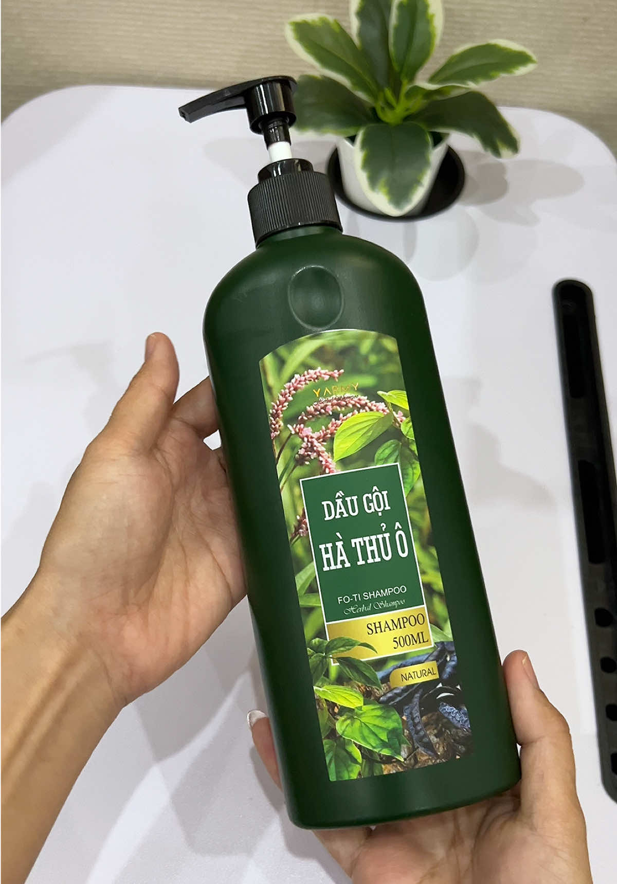 Dầu gội thảo dược Hà Thủ Ô #daugoithaoduoc #daugoi #daugoihathuo #xuhuong #tranghatay96  @Trang Hà Tây 96  @Trang Hà Tây 96  @Trang Hà Tây 96 