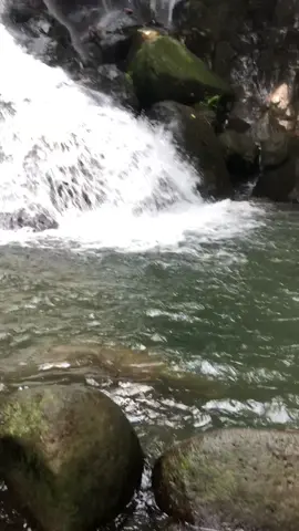 Terkadang tempat berpulang bukan seseorang melainkan ke alam ✨ #fyppppppppppppppppppppppp #curugsawer #explore #bogor 