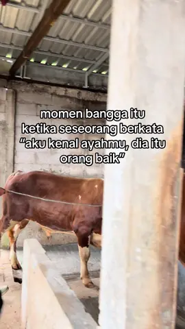 #fyppppppppppppppppppppppp #sobatngaret #beranda #peternakmuda #foryourpage 