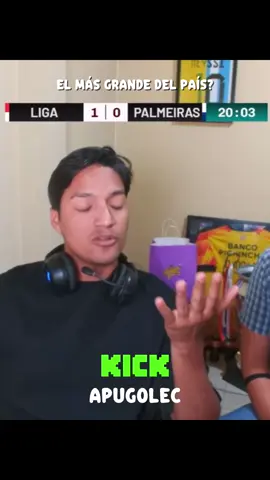 El más grande del país 🤔 #apugol #clips #ldu #palmeiras 