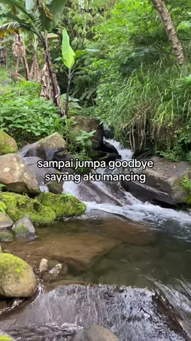 ❤️ #demitkali45 #mancing #storymancing #fyp #foryou 