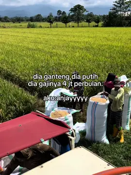 Anjay😂#promomakangajian #opratorcombine #combinetiktok #opratorcombine #tigaputrifamiliy 