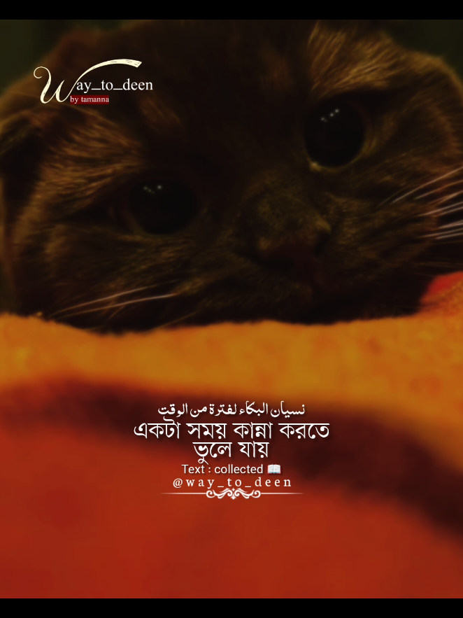 পরিস্থিতি মানুষকে অনেক কিছুই শেখায়...... 💔🥀😞 #fy #fpyyyyyyyyyyyyyyyyyyyyyy #islamicreminder #islamicreels🕋 #newvideo 