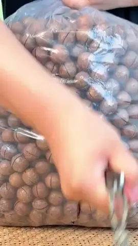 Kacang unik  #snackviral #macadamia #fyp #cemilansehat #jajananviral 