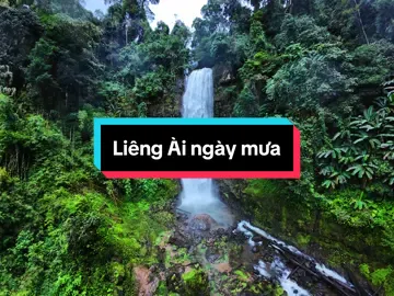 Một ngày dầm mưa quay thác Liêng Ài #baolocdidau #reviewbaoloc #checkinbaoloc #điaiembaoloc 