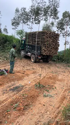 Củi ế bán rong thôi#faw7t7caudau #xetai #faw 