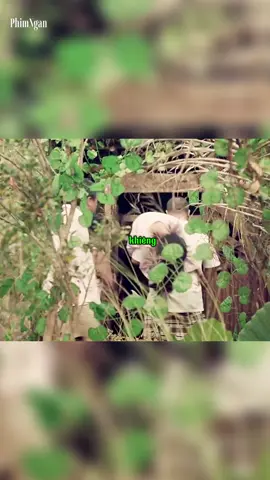 Linh hồn báo thù 1/3 #fyp #foryou #xuhuong #mereviewphim #daophimtrung 