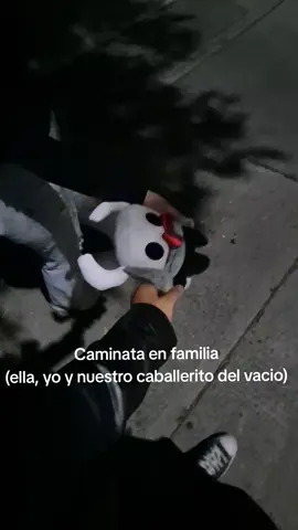No habla pero lo queremos mucho 🫶 #hollowknight #fyp #foryoupage #foryou #parejas 