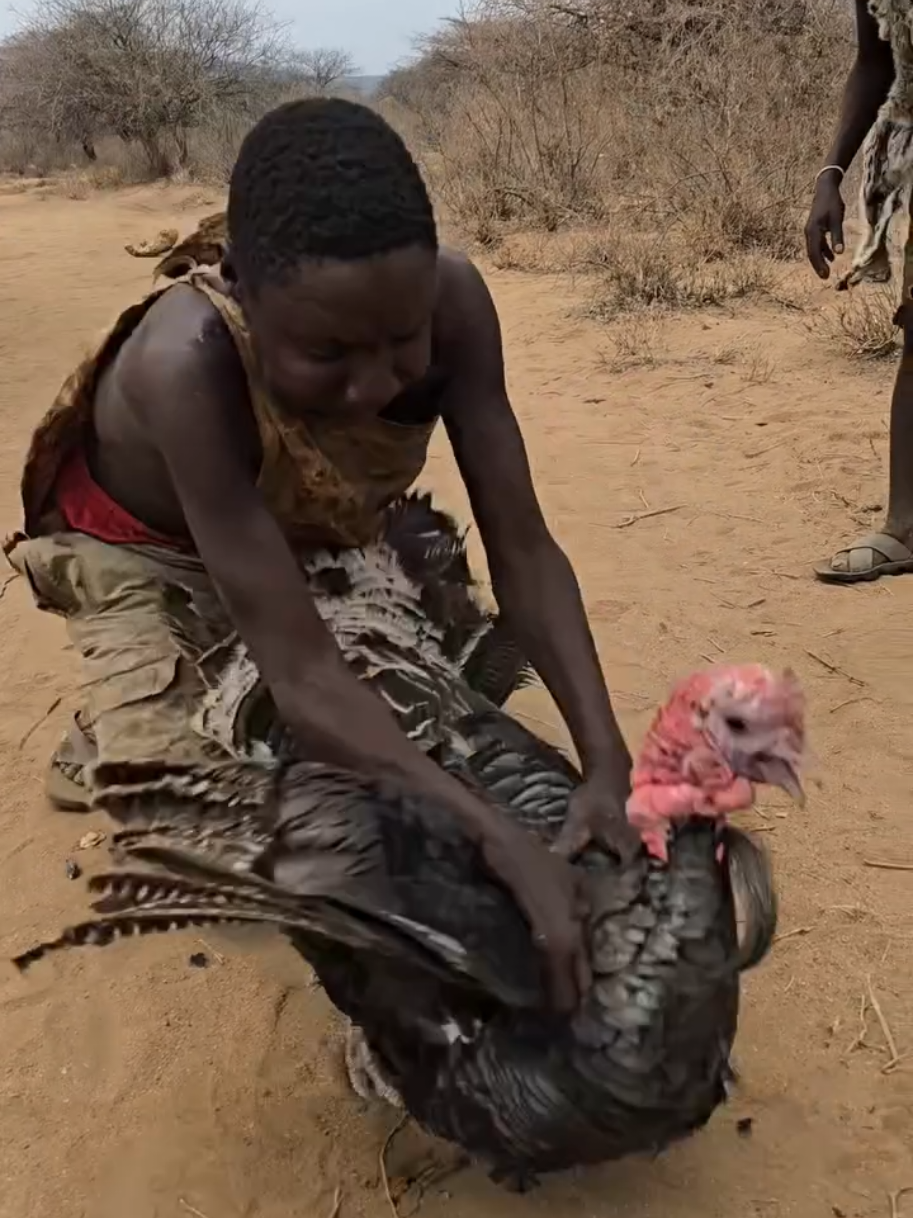chabba catches a turkey #creatorsearchinsights #200k #fypシ゚ #hadzabetribe #hadzabetribe 