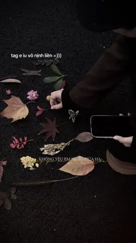 Không yêu em được mùa hạ, anh sẽ yêu em sang mùa đông… #nhachaymoingay #tamtrang #capcut #capcutpioneer #pioneertemplate 