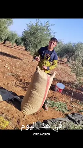 #عفرين_راجو_بلبل_شيه_جنديرس_معبطلي  #عفرين_قامشلي_كوباني_درباسيه_ديريك 