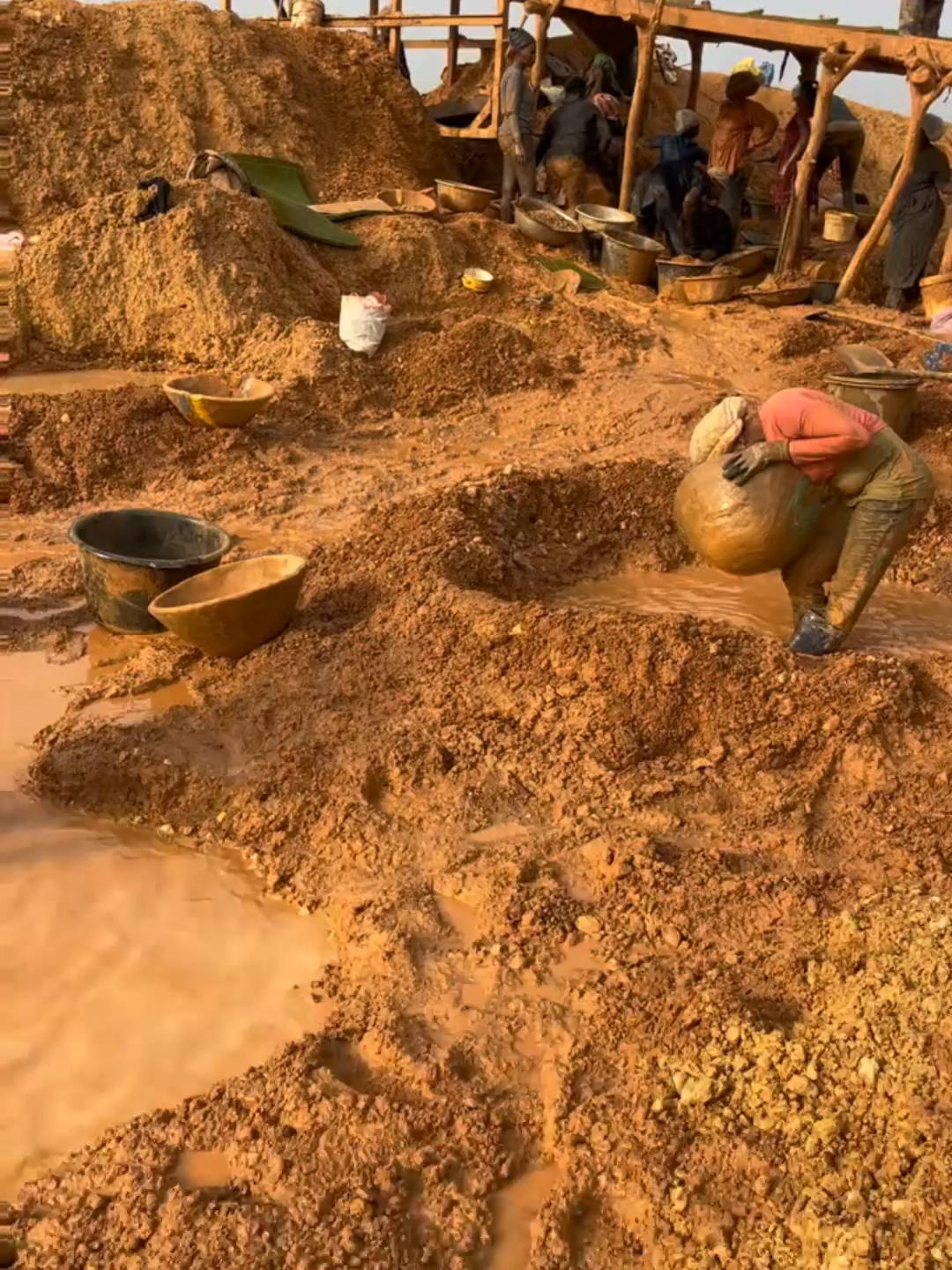 Mining gold on this rich land！！！#GoldSelectionshaker#Separationshaker#Sandgoldshaker#Mineralprocessingshaker#GoldPanningShaker#GoldPanningEquipment#GoldPanning#GoldMine#Vibratingscreen#GoldSelectionEquipment#equipmentmanufacturers