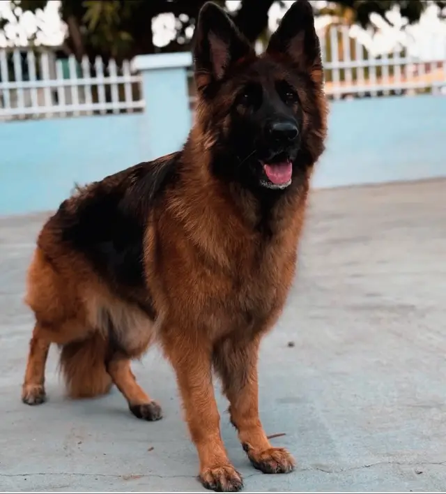 #LIVEIncentiveProgram #LIVEMonetization #PaidPartnership 