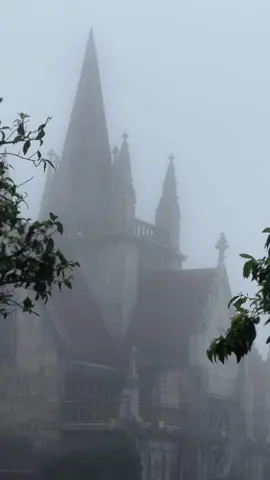 Ba Na Hills on a rainy day is a vibe ☁️ #banahills #sunworld #darkfantasy #fog #vietnam 