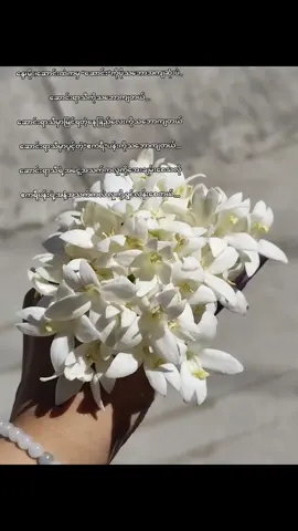 အိမ်မှာဧကရီပန်းပင်ရှိတော့ မနက်တိုင်းပန်းကောက်ရတာ သဘောအကျဆုံးပဲ🤍#fyp #tiktokmyanmar 