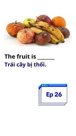 Quiz Time mỗi ngày~ Ep 26  #quiztime #challenge #english #viral #fyp 