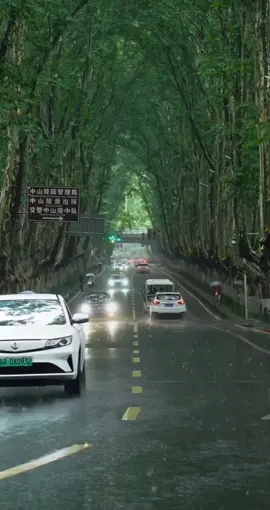 📍南京-Đại Lộ Nam Kinh🇨🇳 4 mùa Xuân(春), Hạ(夏), Thu(秋), Đông(冬) ở Đại Lộ Nam Kinh🫶🇨🇳 #namkinh #nanjing #nanjing南京 #namkinh_nanjing_南京 #xuhuong 