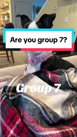 She is definitely in group 7 #group7 #groupseven 