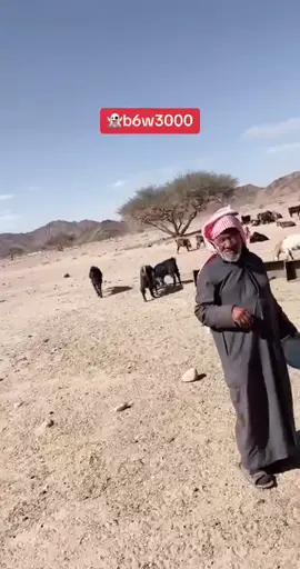 #ابوسويلم #ابوضبعان 