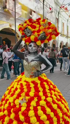 ¡Qué orgullo ver a Tlaxcala llena de vida y tradición! 🌺 Me encantó ver a tantas familias disfrutando del desfile de la Feria de Tlaxcala. Participaron estudiantes de diferentes escuelas, muchas comparsas y hermosas Catrinas que llenaron nuestras calles de color, alegría y espíritu festivo.  ¡Así se vive nuestra feria, con unidad y corazón tlaxcalteca!✨ #HistoriaQueEscribimosJuntos  #AlfonsoSánchezGarcía  #TlaxcalaDeXicohténcatl #FeriaDeFerias