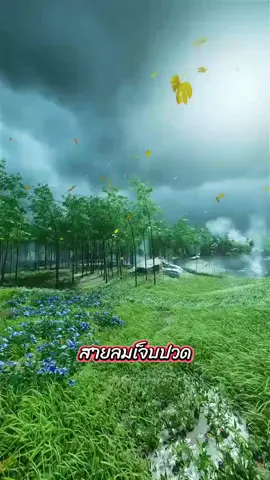 #เพลงเพราะโดนใจ  #สายลมเจ็บปวด  #Thai version #ขออนุญาตเจ้าของเพลงและเจ้าของภาพด้วยครับ  #โพสต์เพื่อความบันเทิงเท่านั้น 
