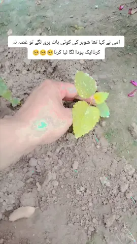 Nature lover#unfreezemyacount🙏 #fyp #bankers #Viral #wifey 