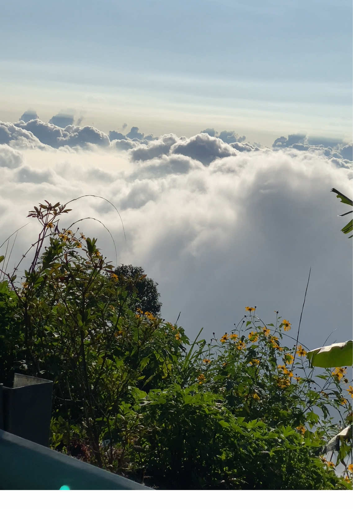 Nhân phẩm lần thứ N #bavi #20H1 #20thainguyen #xh #tavanhanh 