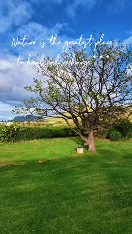 #mothernature #freshair #peaceful 