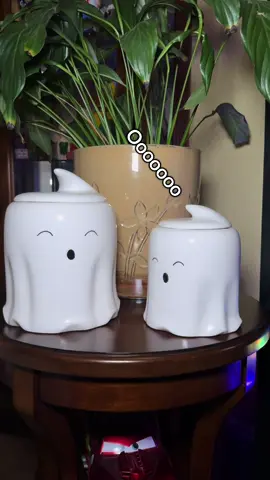 Just a little duet 🎤 👻 🎶 #spookyseason #ghostduet #october #ghosts #halloweentime 