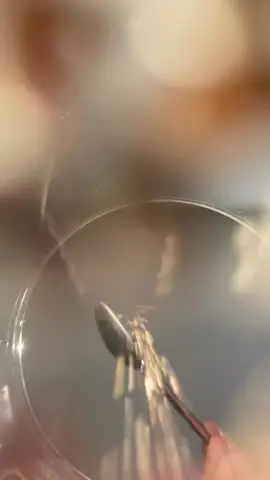 รู้งี้กินนานแล้วเมล็ดเจีย#เมล็ดเจีย #เมล็ดเจียอิ่มนานไฟเบอร์สูง #เมล็ดเจียออร์แกนิค #เมล็ดเจียสุขกาย #เมล็ดเจียเพื่อสุขภาพ  @มะเหมียว แม่ค้าคนสวย  @มะเหมียว แม่ค้าคนสวย  @มะเหมียว แม่ค้าคนสวย 