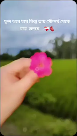 ❤️‍🩹❤️‍🩹😅🫀🫀🫀🫀