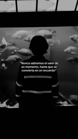 #musica #Viral #frasesmotivadoras #motivation #video 