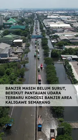 Pantauan udara terbaru banjir area Kaligawe Semarang #semarang #demak24jam #demak #banjirsemarang #kaligawe 