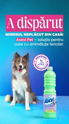 Asevi Pet Pardoseli - Parfumul lăbuțelor fericite! 🐾 Formula sa special creată pentru familiile cu animăluțe curăță eficient, elimină mirosurile neplăcute și lasă un parfum delicat, cu efect relaxant ✨ Iar acum, pe lângă o casă strălucitoare, poți câștiga și premii WOW! Intră pe leapsacurateniei.ro înscrie bonul fiscal și poți fi unul dintre cei 5 câștigători norocoși 🎁 #AseviPet #CurateniePentruTineRasfatPentruBlanos #LeapsaCurateniei