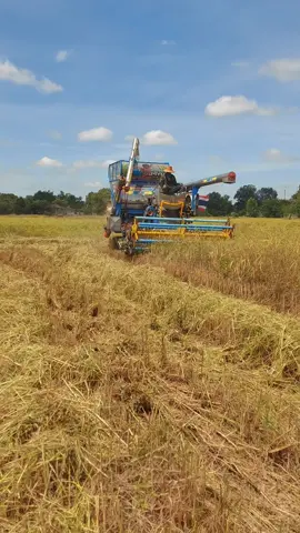 😋#วัยรุ่นขับเฟือง #ไอ้หนูคนดี #20y #ฟีดดดシ 