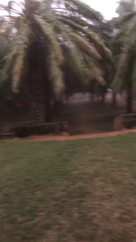 فيديو من شتاء سنة 2024، لعبت بالمطر وامي كانت تقول لي ادخلي لا تسخنين، مادخلت مع اني كنت دارية اني راح امرض بس كان المطر يجنن  احب امي واحب الشتاء واحب المطر 