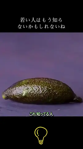 これ知ってる人 もうほとんどいないよね#メロ秋投稿キャンペーン #tiktok #おすすめ #生活の妙技 