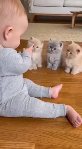 melatih kucing sejak dini 🤣😸