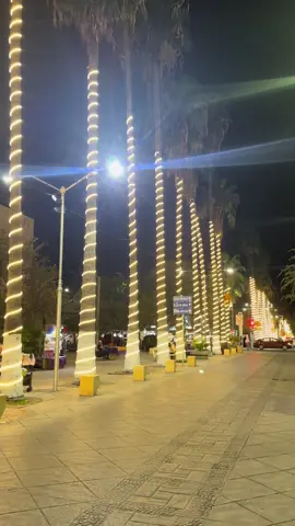 Paseo por la noche en Torreón Coahuila #lalaguna #torreonchido #comarcalagunera #lugaresparavisitar #laguneros 