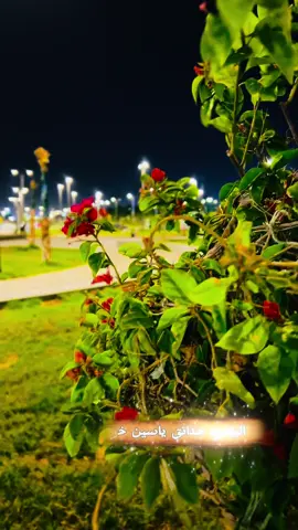 البصره_ياسين_خريبط #ياسين_خريبط #حديقة_ياسين_خريبط #البصره #البصره_ياسين_خريبط  @حدائق ياسين خريبط #CapCut 