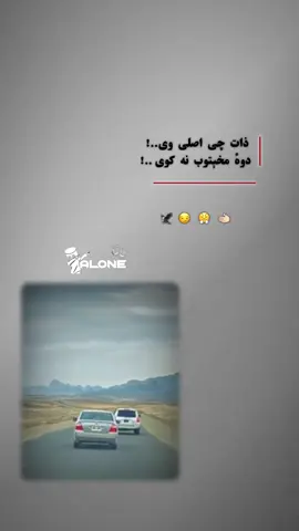 #پښتون_تاجیک_هزاره_ازبک_زنده_باد🇦🇫 #afghanistan🇦🇫 #foryoupage #viral @SHAHEEN🦅 