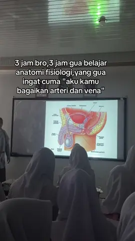 kalo ada kapiler psti menyatuu😇#anatomy #keperawatan #peredarandarah #fyppppppppppppppppppppppp 