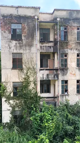 廢墟兇樓#膽小慎入 #廢墟探險 #探靈 #ghost #直播 