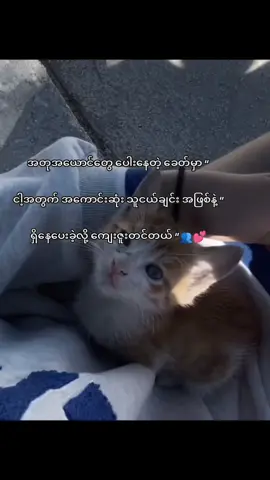 အရမ်းချစ်တယ်နော်🥺🤞🏻 @Xin hãy yêu tôi. @W♡ @